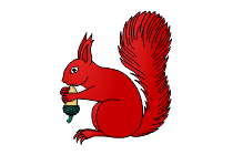 eichhoernchen
