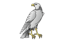 falke