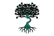 feigenbaum feigenblatt