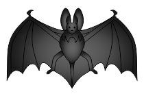 fledermaus