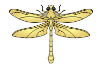 libelle