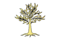 olivenbaum