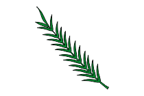 palmzweig