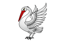 pelikan