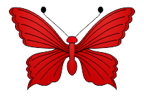 schmetterling