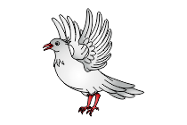 vogel