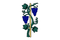 weinrebe