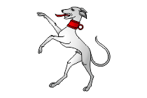 windhund