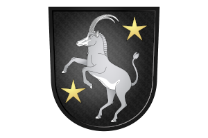 neto von alt st. johann